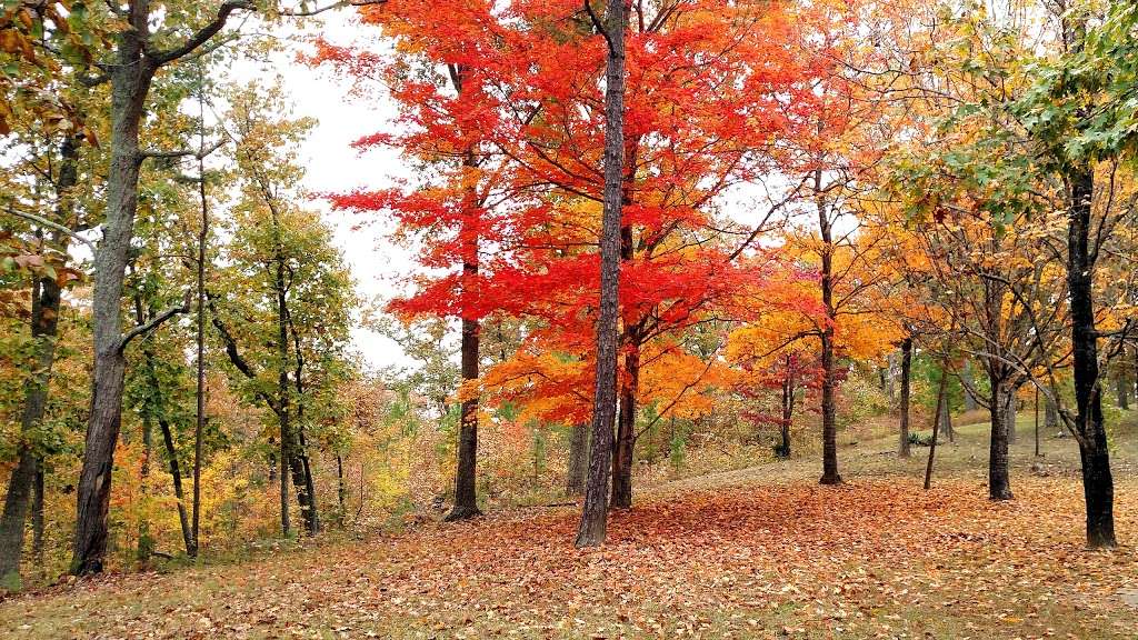 Kings Mountain Battleground Cemetery | Blacksburg, SC 29702