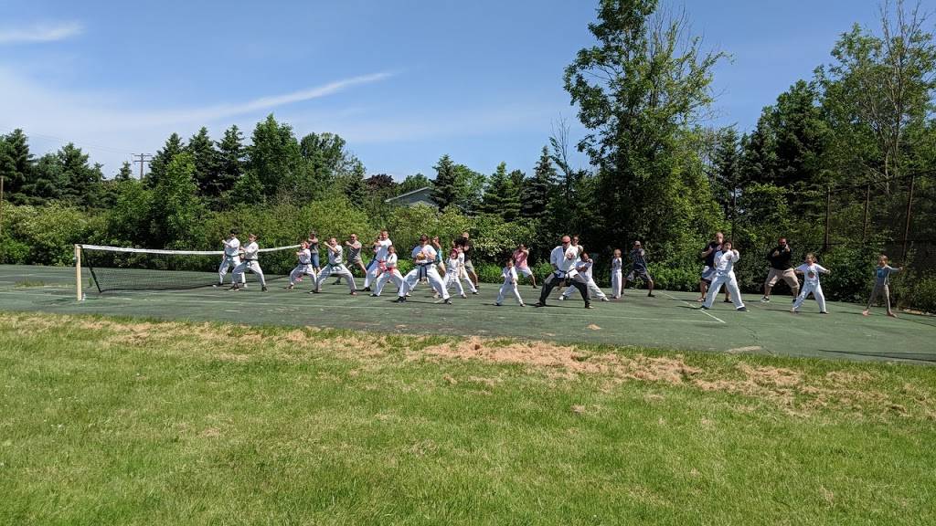 One Strike Buffalo Isshin Ryu Karate And Kobudo LLC | 3720 South Park Ave, Blasdell, NY 14219, USA | Phone: (716) 830-4708