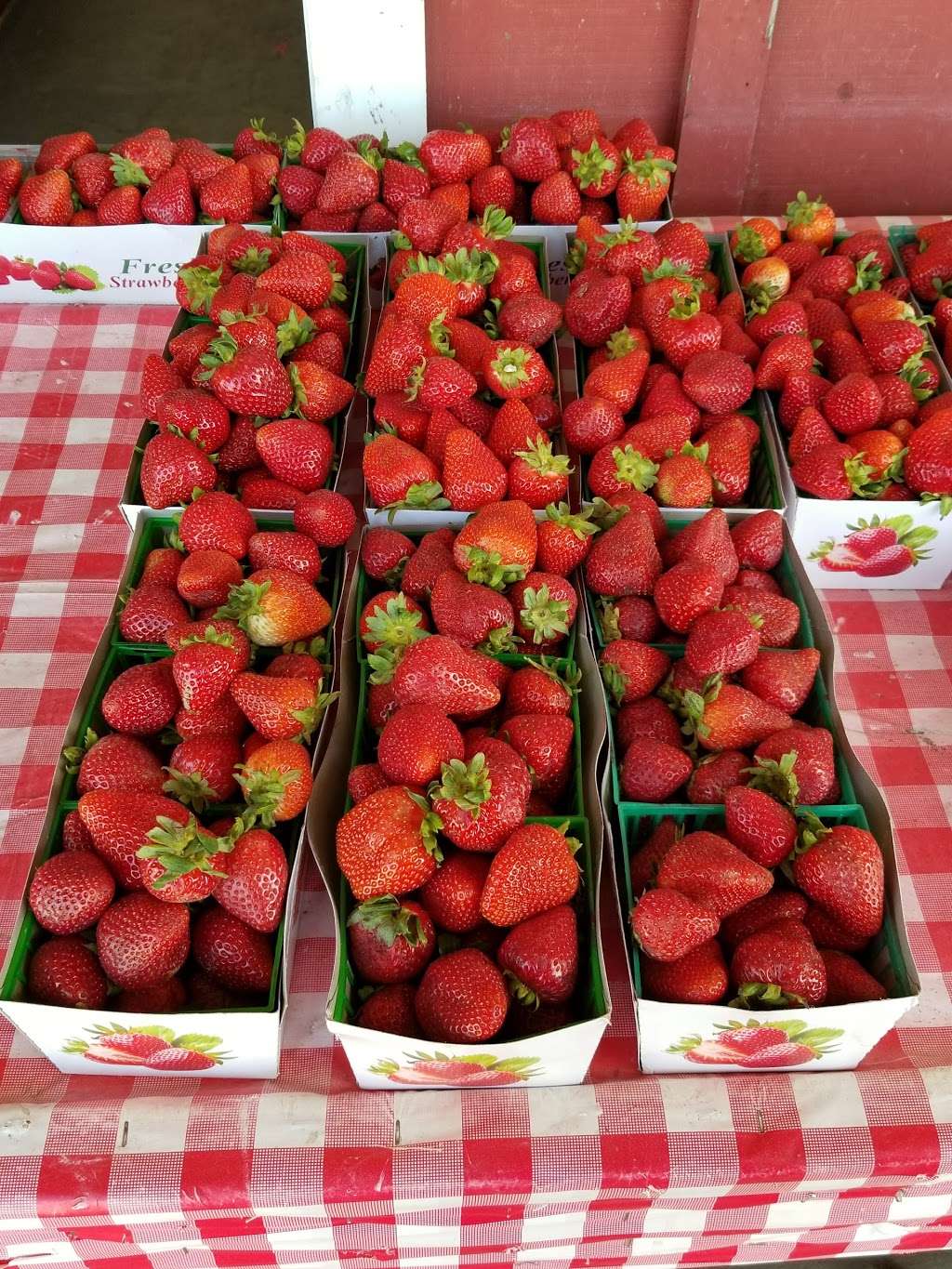 Rodela Produce and Flowers | 4550 Olivas Park Dr, Ventura, CA 93003, USA | Phone: (805) 844-9174