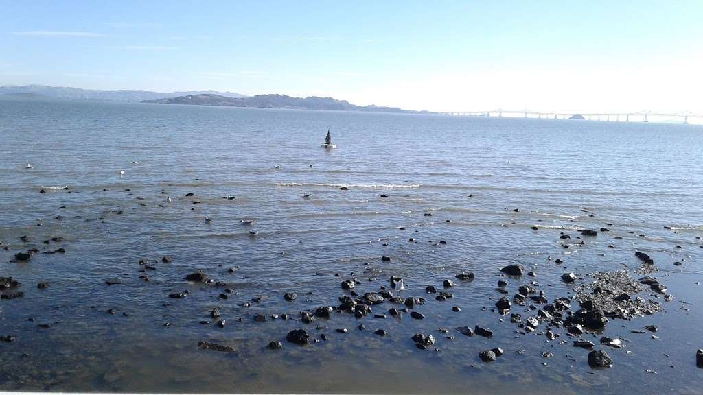 Bayside Park, Marin County Parks | 836-882 Point San Pedro Rd, San Rafael, CA 94901, USA