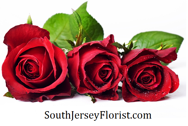 South Jersey Florist and Gifts | 191 S New York Rd, Galloway, NJ 08205, USA | Phone: (609) 404-1110