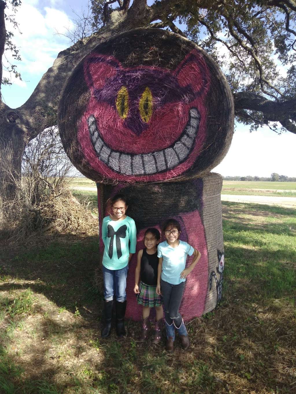 Burr Country Store & Grill | 5203 Farm to Market Rd 1301, Wharton, TX 77488, USA | Phone: (979) 532-8783