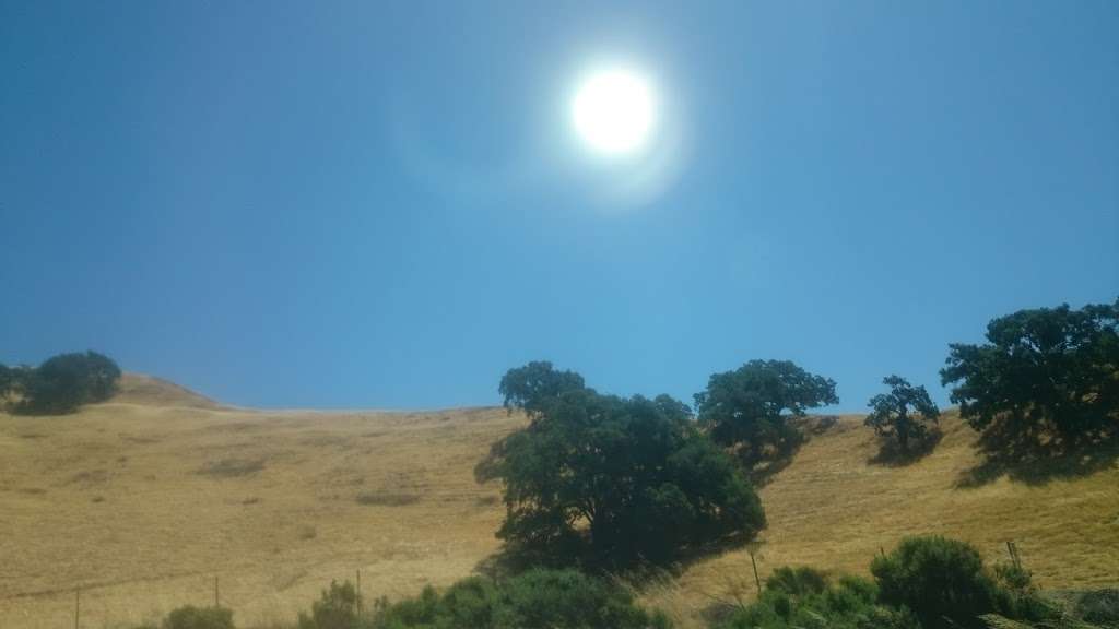 Royal Travels | 48437 Cottonwood St, Fremont, CA 94539, USA | Phone: (510) 623-1365