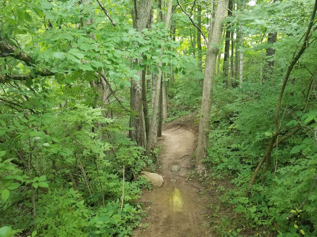 Schoen Creek Trail | Trailer Court Rd, Indianapolis, IN 46216 | Phone: (317) 591-0904