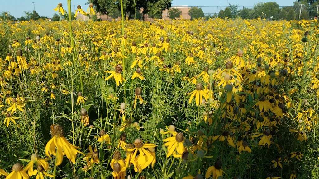 Hunter Prairie Park | Frankfort, IL 60423