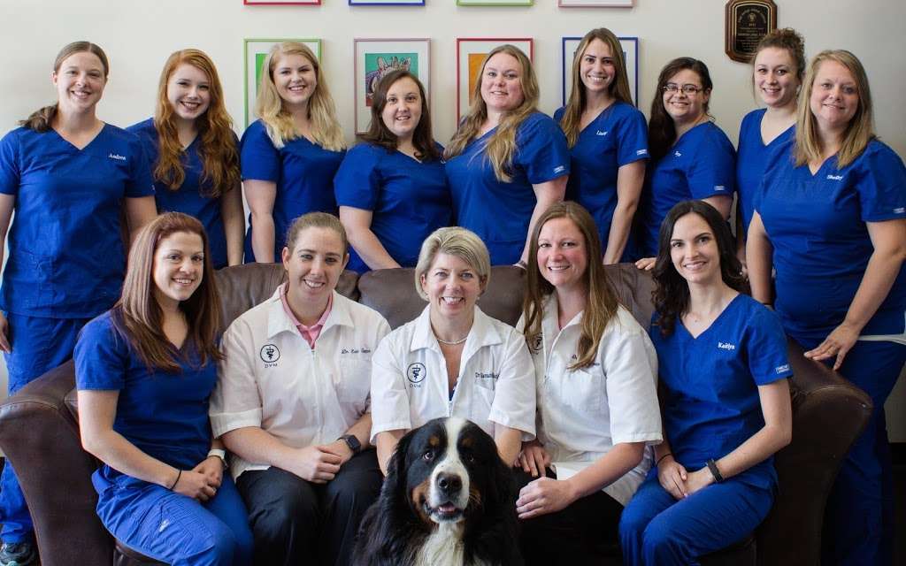 Eagles Nest Animal Hospital | 7955 Kings Hwy, King George, VA 22485, USA | Phone: (540) 775-6800