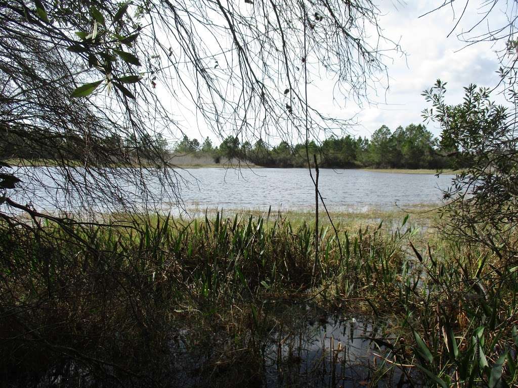 Hilochee Wildlife Management Area, Osprey Unit | 6239 Co Rd 557, Polk City, FL 33868 | Phone: (863) 648-3200