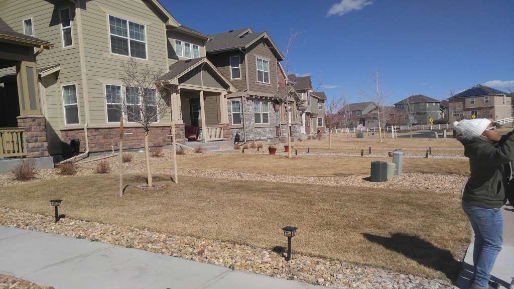 Homestead Park | 23945 E Florida Ave, Aurora, CO 80018, USA