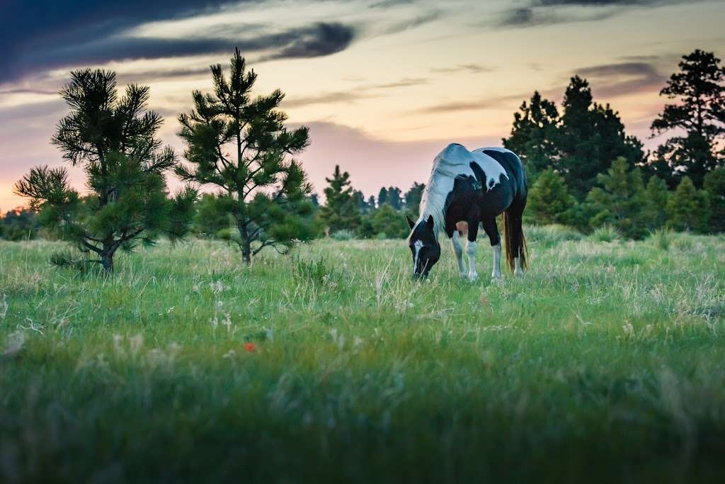 JCC Ranch Camp & Retreat Center | 21441 N Elbert Rd, Elbert, CO 80106, USA | Phone: (303) 316-6405