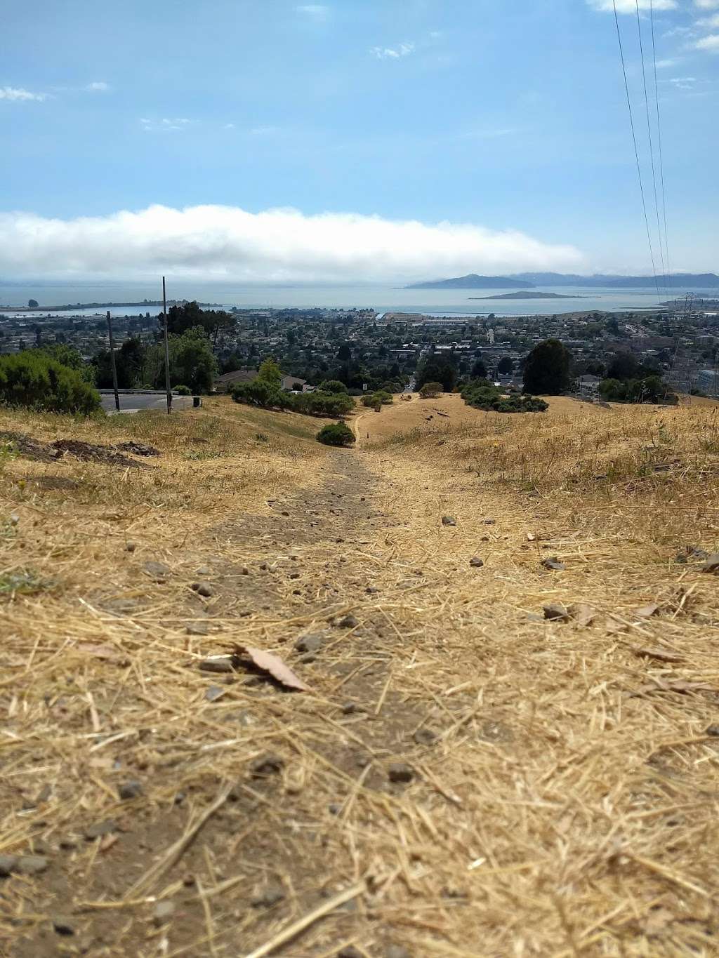 Hillside Natural Area | 7501 Schmidt Ln, El Cerrito, CA 94530, USA