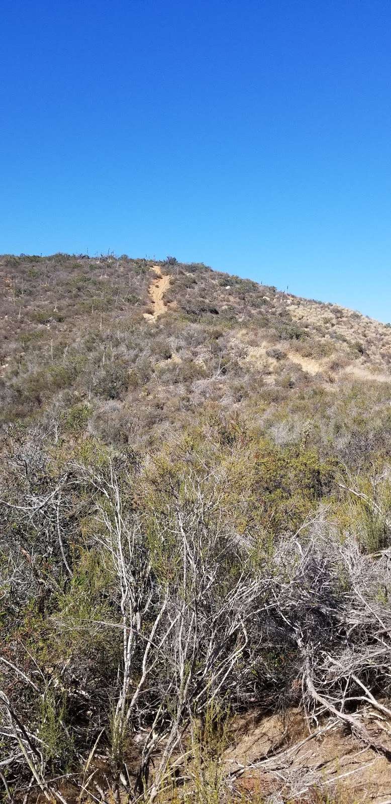 Van Dam Peak Iola Way Trailhead | Unnamed Road, Poway, CA 92064, USA