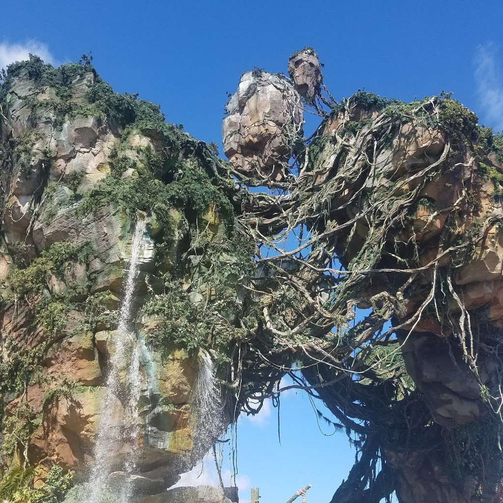 Avatar Flight of Passage | 2901 Osceola Pkwy Suite C, Orlando, FL 32830, USA | Phone: (407) 939-5277