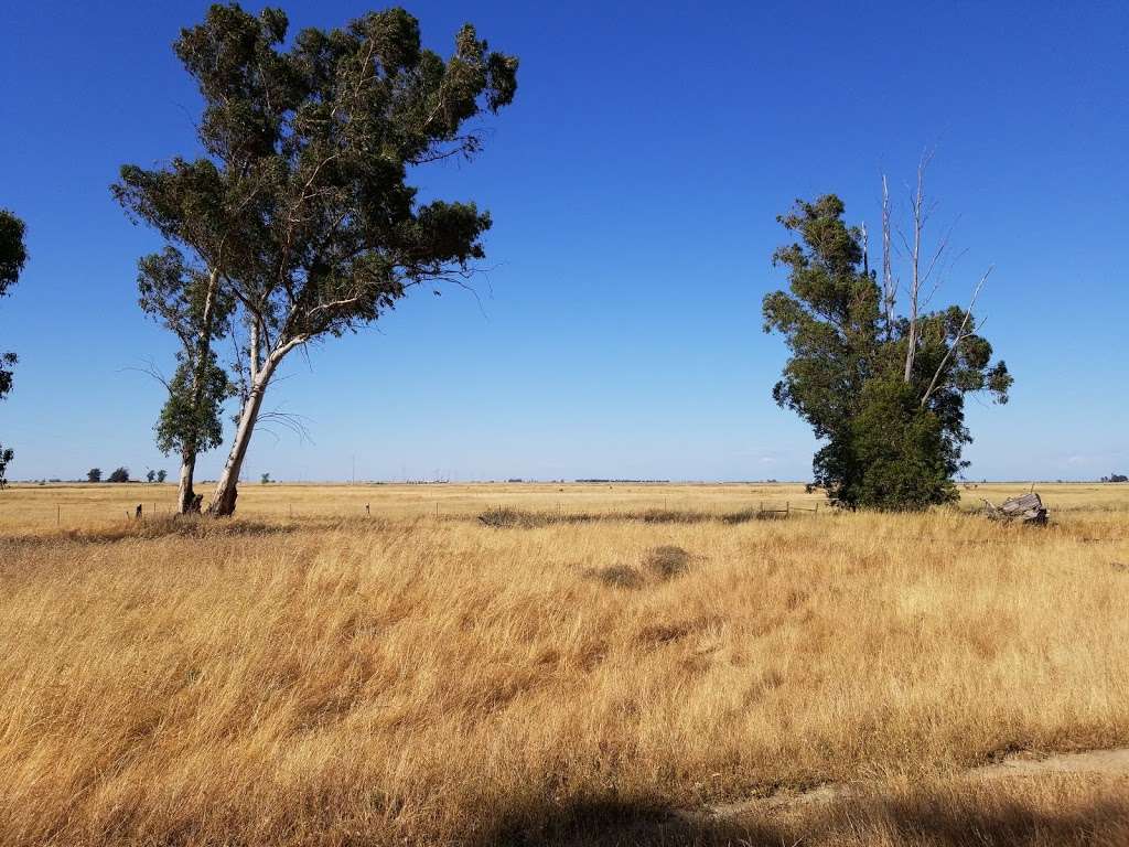 Jepson Prairie Preserve | 4845 Cook Ln, Dixon, CA 95620, USA