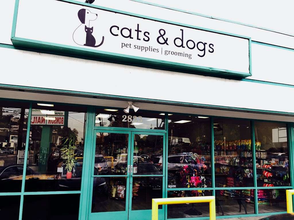 Cats & Dogs | 2505, 2833 Hyperion Ave, Los Angeles, CA 90027, USA | Phone: (323) 953-8383