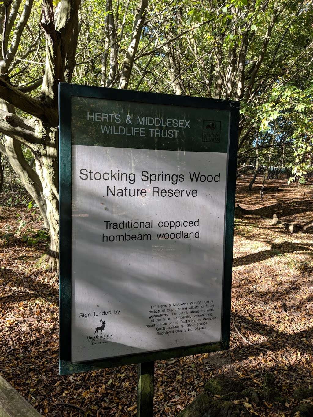 Stocking Springs Wood | Ayot St Lawrence, Welwyn AL6 9BL, UK