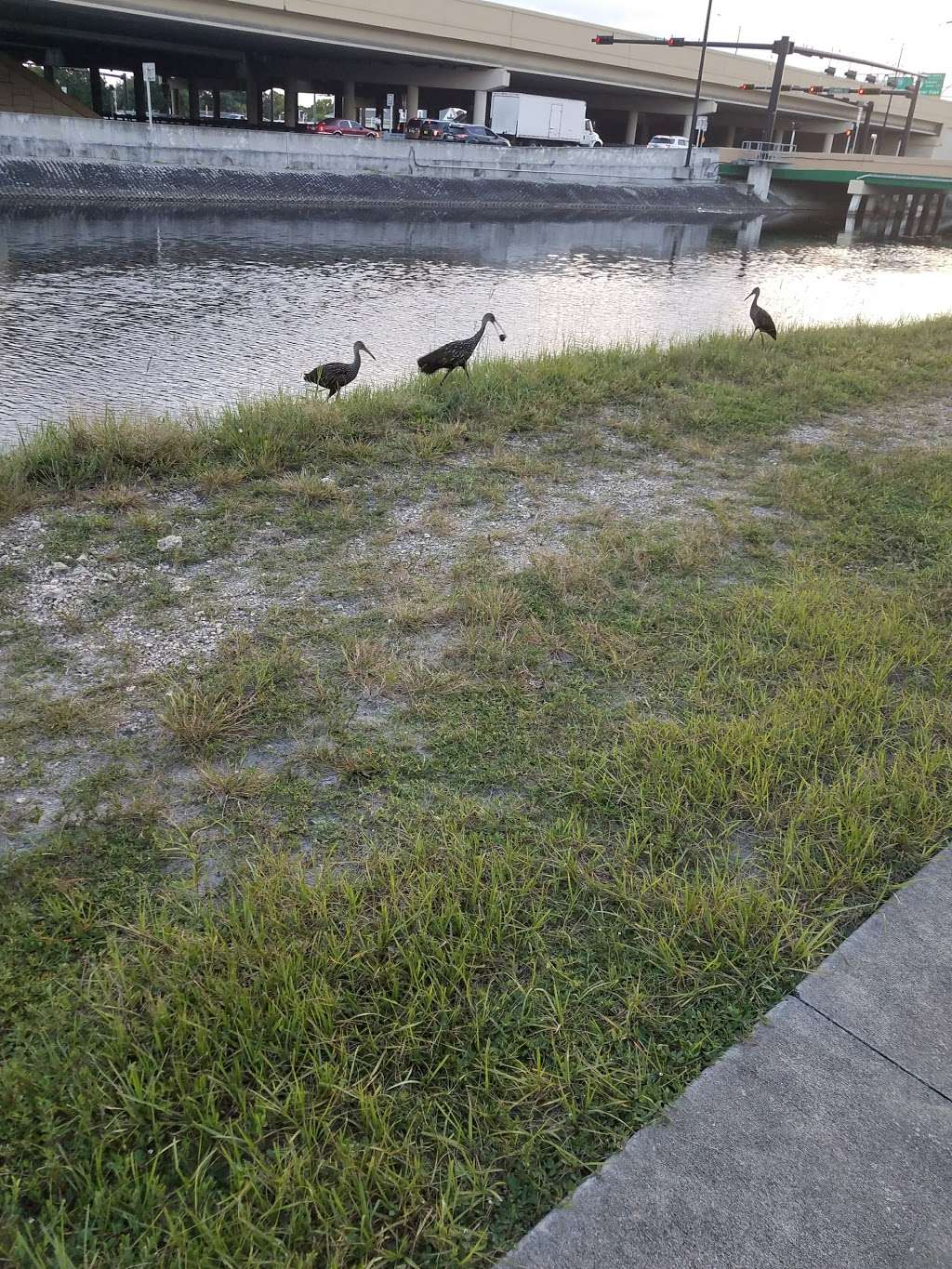 New River Green Way Ramp | 1989 New River Greenway, Plantation, FL 33325