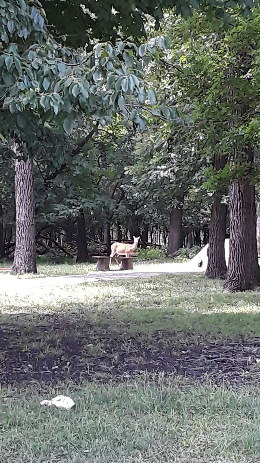 Mcauliffe Michael P | 5515 N East River Rd, Chicago, IL 60656, USA | Phone: (773) 444-0611