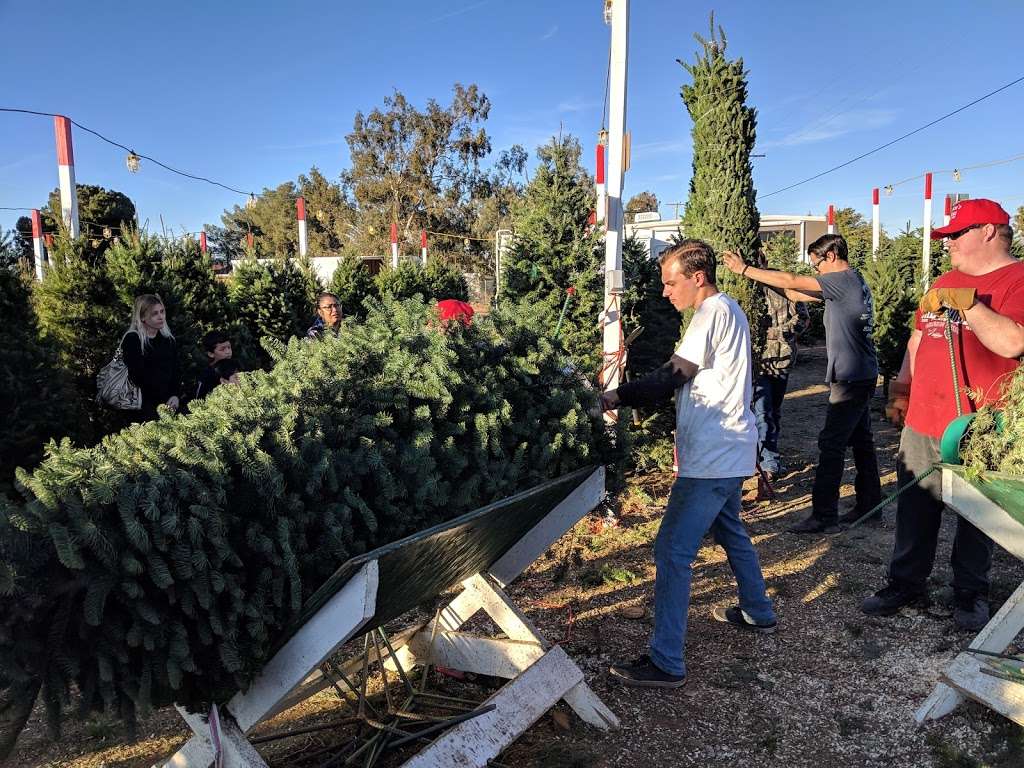 Bruces Christmas Trees | 5008 W Ave L, Lancaster, CA 93536, USA