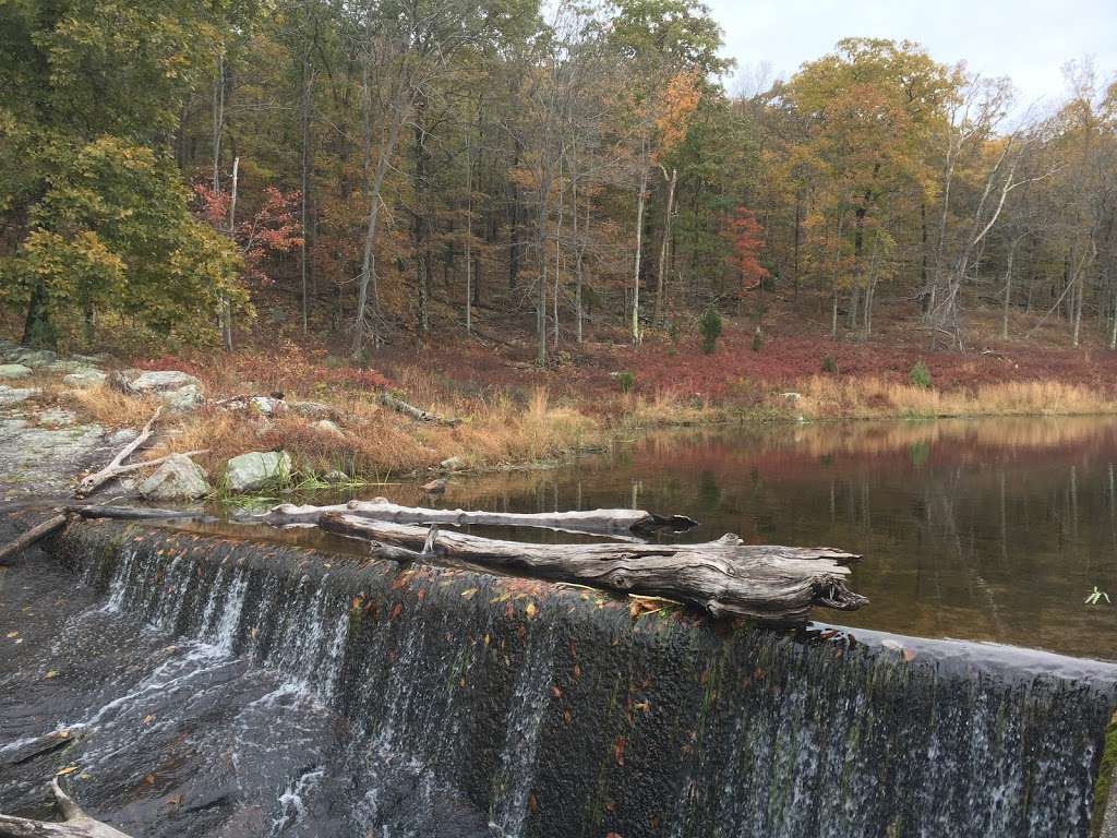 Blue Mountsin Lakes Parking Lot | Sandyston, NJ 07851