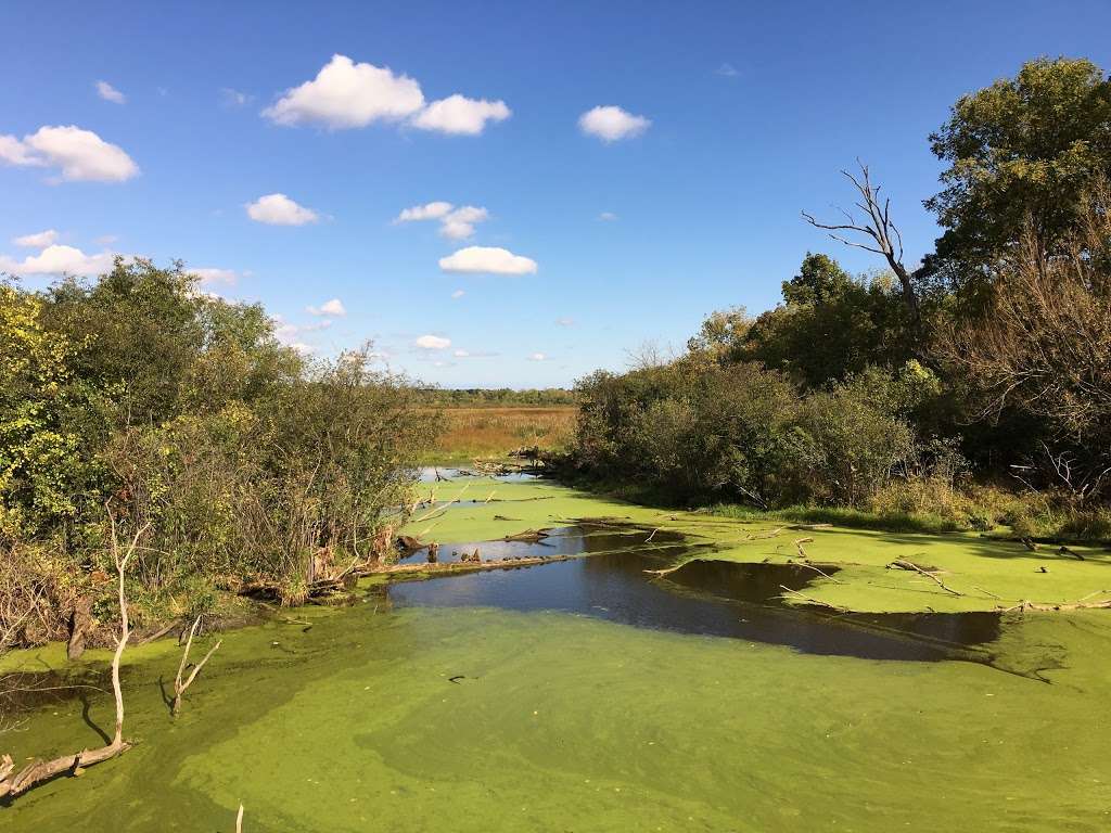 Volo Bog State Natural Area | 28478 W Brandenburg Rd, Ingleside, IL 60041 | Phone: (815) 344-1294