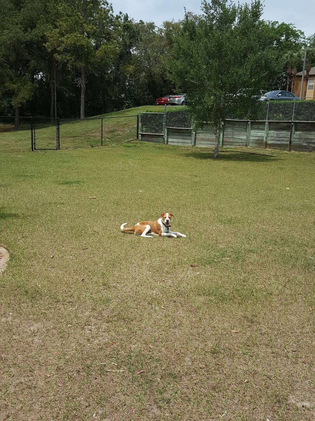 Oasis Dog Park | 282112000000007, Apopka, FL 32703