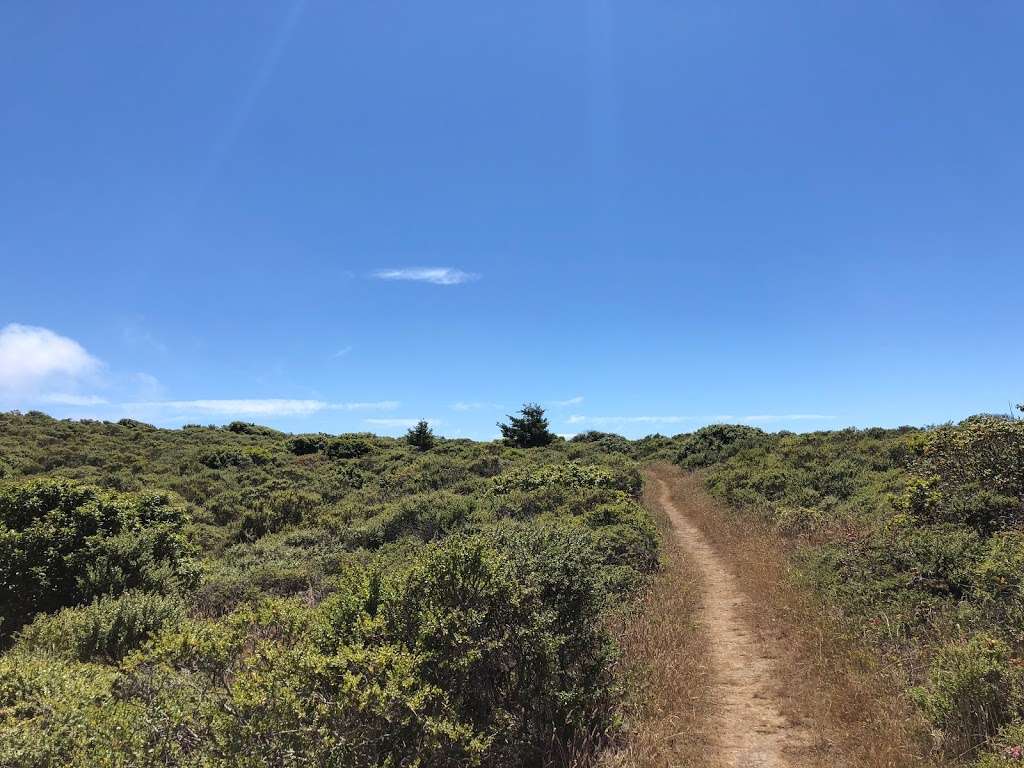 Pomo Canyon Trail | Pomo Canyon Trail, Duncans Mills, CA 95430, USA