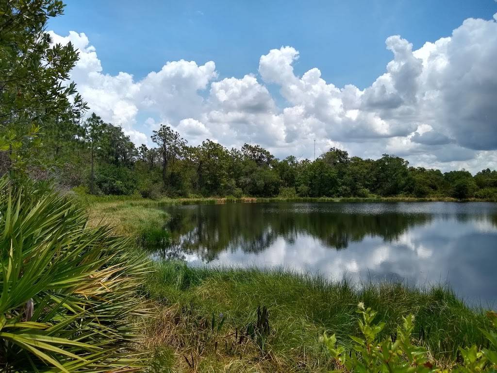 Bell Creek Nature Preserve | 11311-11195, McMullen Rd, Riverview, FL 33569, USA | Phone: (813) 672-7876