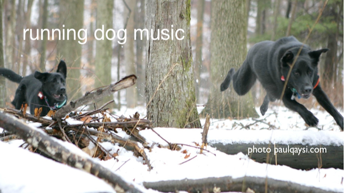 running dog music | 230 Saw Mill River Rd, Millwood, NY 10546, USA | Phone: (914) 762-3286