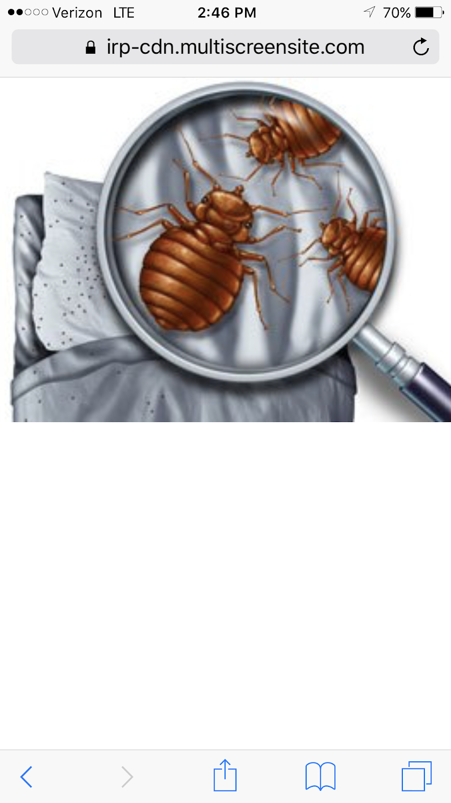 The Bed Bug Detectives | 7293 W Reformatory Rd, Pendleton, IN 46064, USA | Phone: (317) 572-7378