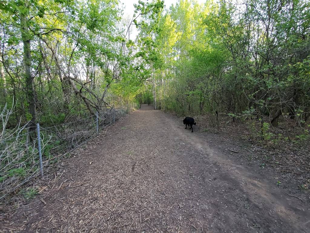 Battle Creek Dog Park | 2350 Upper Afton Rd, Maplewood, MN 55119, USA | Phone: (651) 748-2500