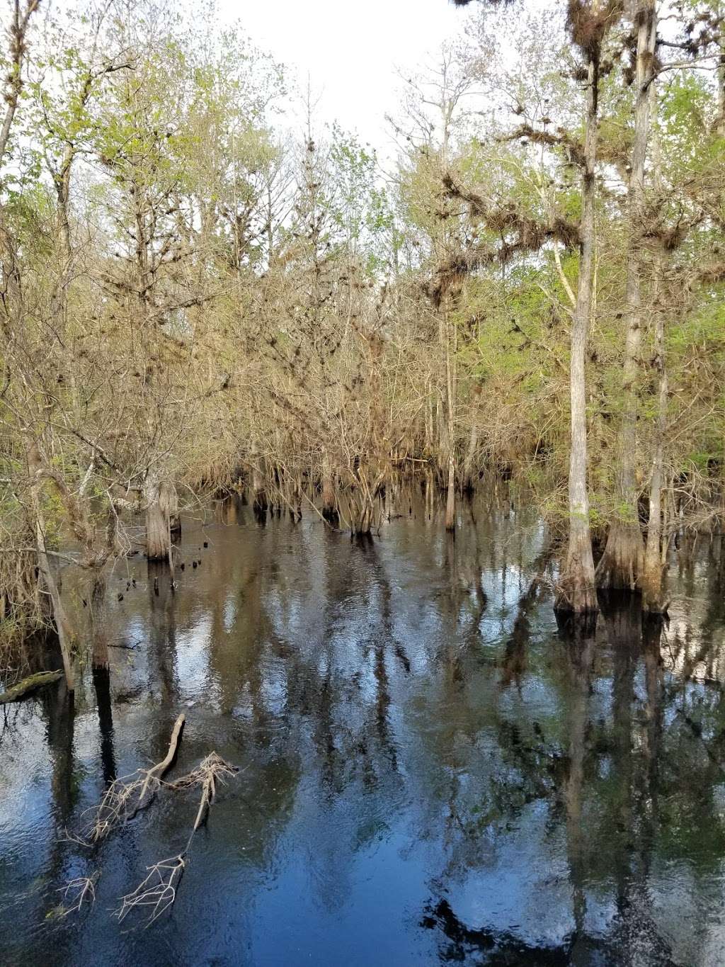 Trial Ford Bridge | Lakeland, FL 33809, USA