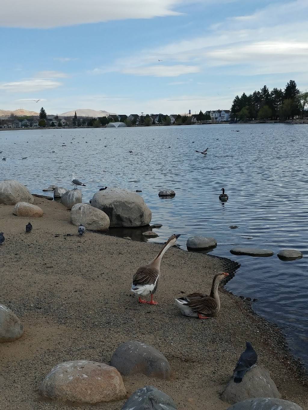 Edgewater at Virginia Lake | 2490 Eastshore Pl, Reno, NV 89509, USA | Phone: (775) 825-9266