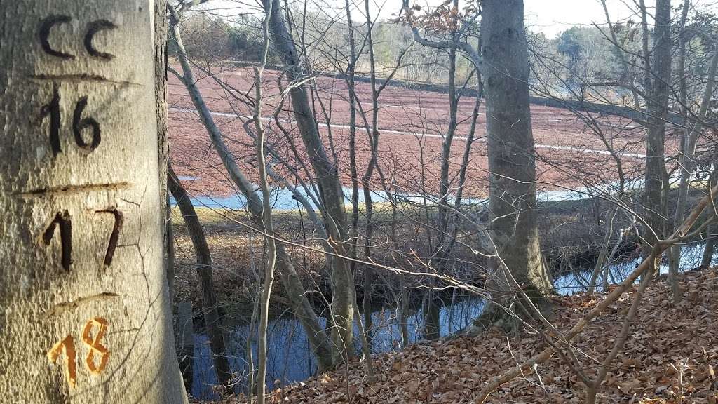 Burrage Pond | Burrage Pond - Lower Reservoir, Halifax, MA 02338, Halifax, MA 02338, USA