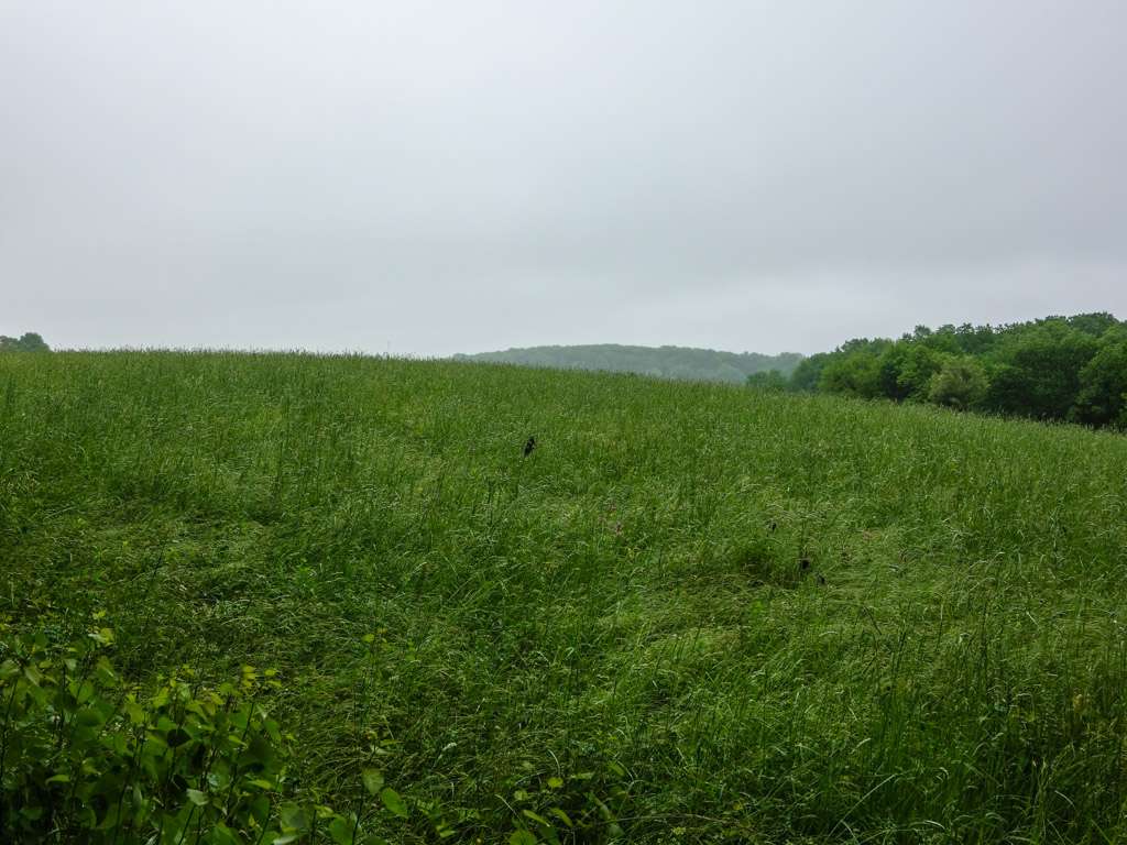 Appalachian Trail | Gemmer Rd, Wantage, NJ 07461, USA