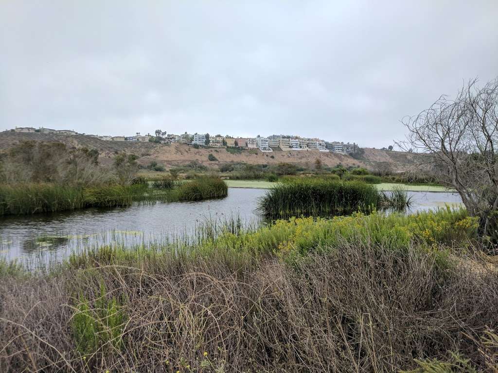 Ballona Freshwater Marsh | Lincoln Blvd, Playa Del Rey, CA 90293, USA | Phone: (310) 306-5994