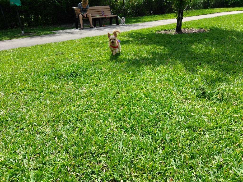 Barkland Dog Park | 9245 Ranch Rd, Parkland, FL 33067 | Phone: (954) 757-4104