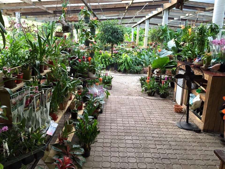 Bamboo And Orchid Gardens | 2325 S Flamingo Rd, Davie, FL 33325, USA | Phone: (954) 931-7733 Bamboo And Orchid Gardens | 2325 S Flamingo Rd, Davie, FL 33325, USA | Phone: (954) 931-7733