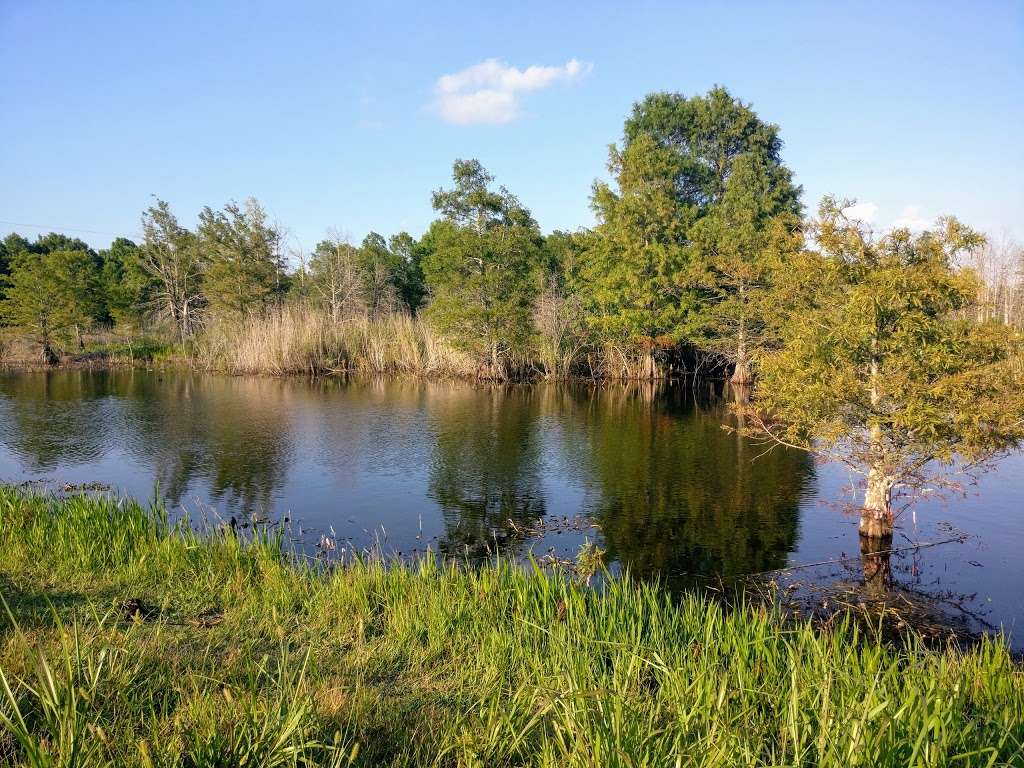 Sheldon Lake State Park and Environmental Learning Center | 14140 Garrett Rd, Houston, TX 77044, USA | Phone: (281) 456-2800