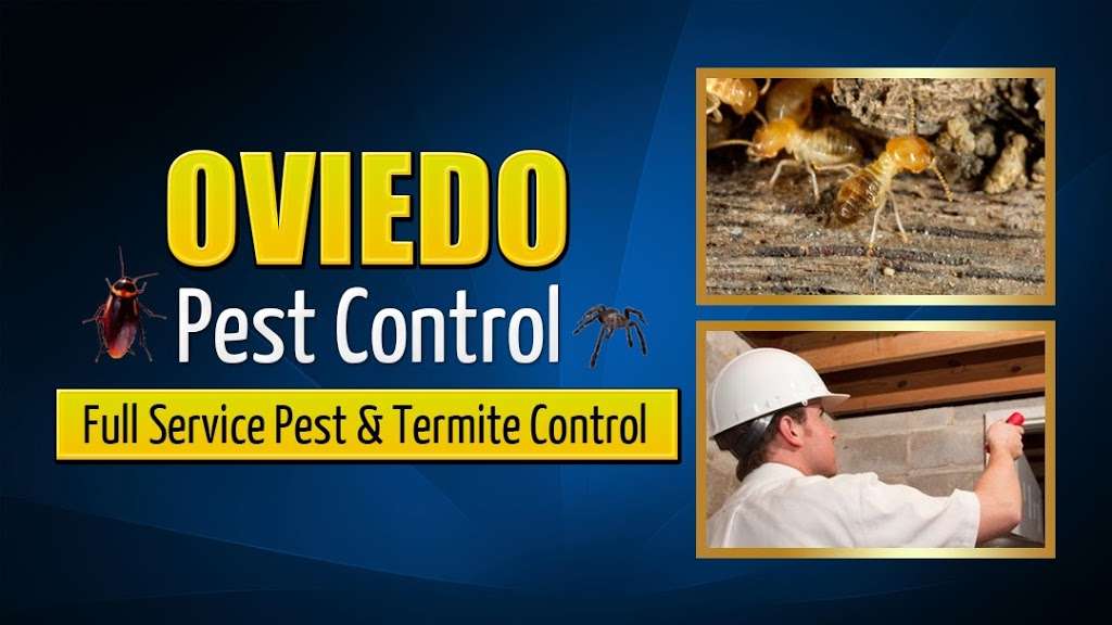 Oviedo Pest Control | 801 Eyrie Dr, Oviedo, FL 32765 | Phone: (407) 545-6770
