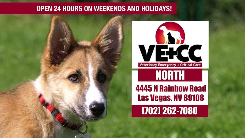 North Rainbow Veterinary Emergency Hospital | 4445 N Rainbow Blvd, Las Vegas, NV 89108, USA | Phone: (702) 262-7080