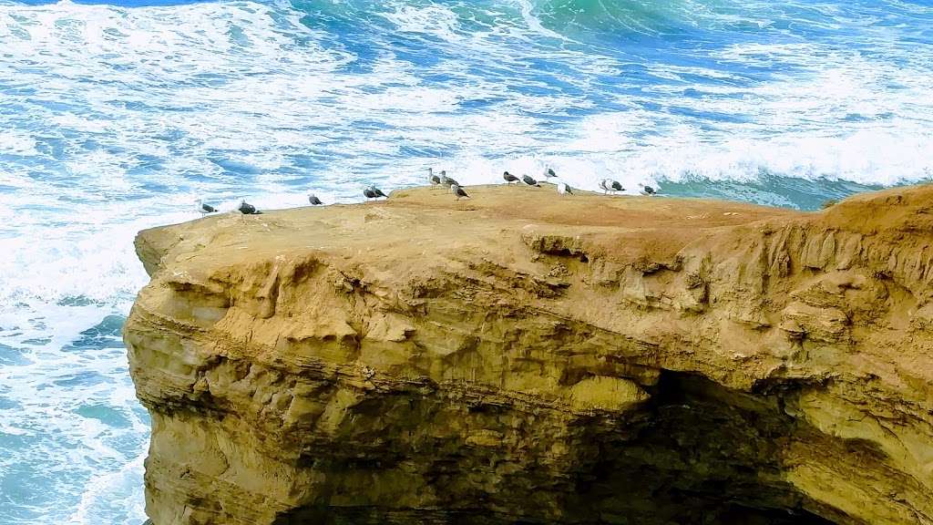 Sunset Cliffs Parking Lot | 1253 Sunset Cliffs Blvd, San Diego, CA 92107, USA