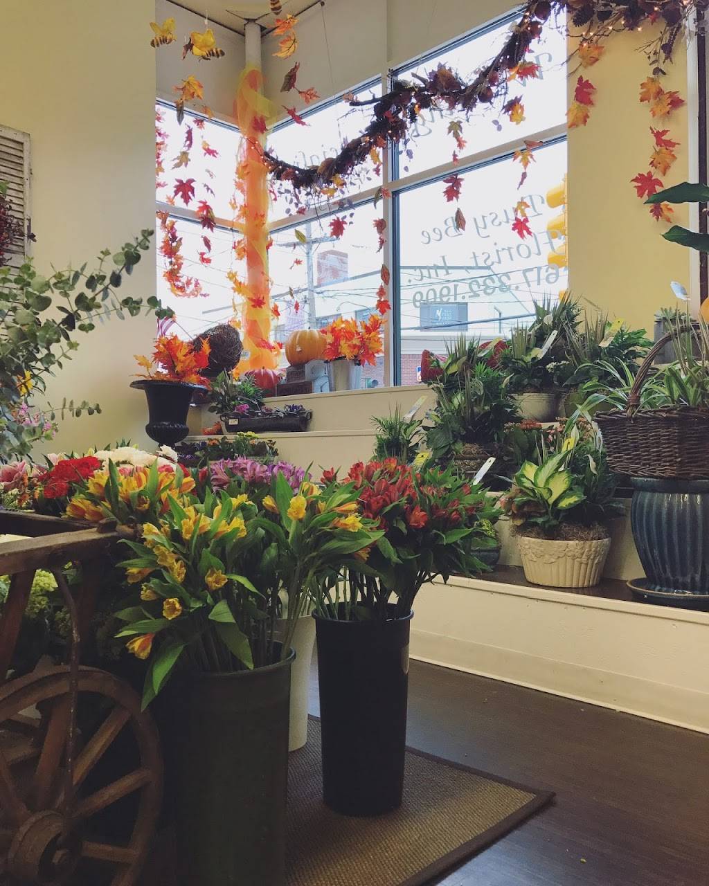 Busy Bee Florists | 337 Watertown St, Newton, MA 02458, USA | Phone: (617) 332-1909