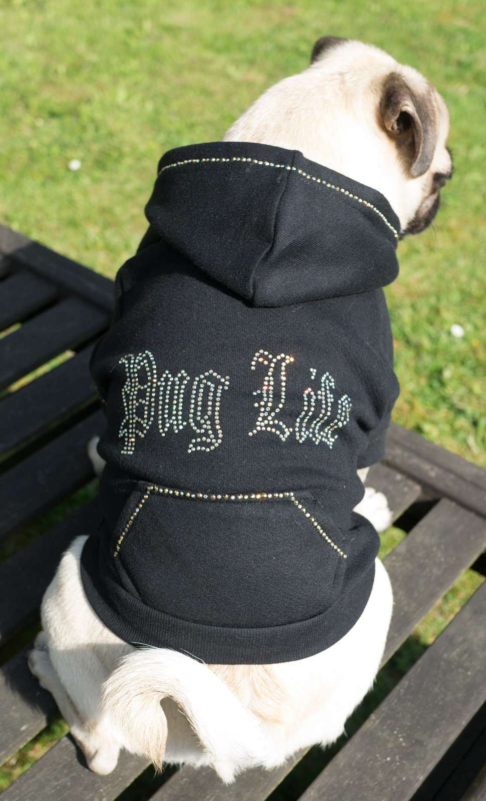 Pug Life Designs | 59 Courtfield Rise, West Wickham BR4 9BD, UK | Phone: 07548 307929