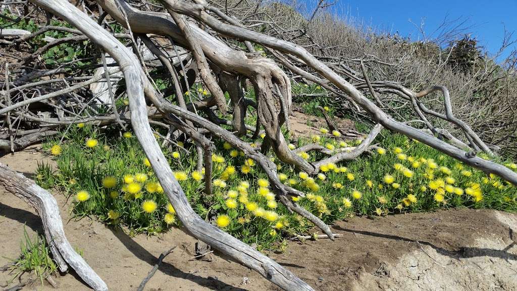 Fort Funston | Fort Funston Rd, San Francisco, CA 94132 | Phone: (415) 561-4700