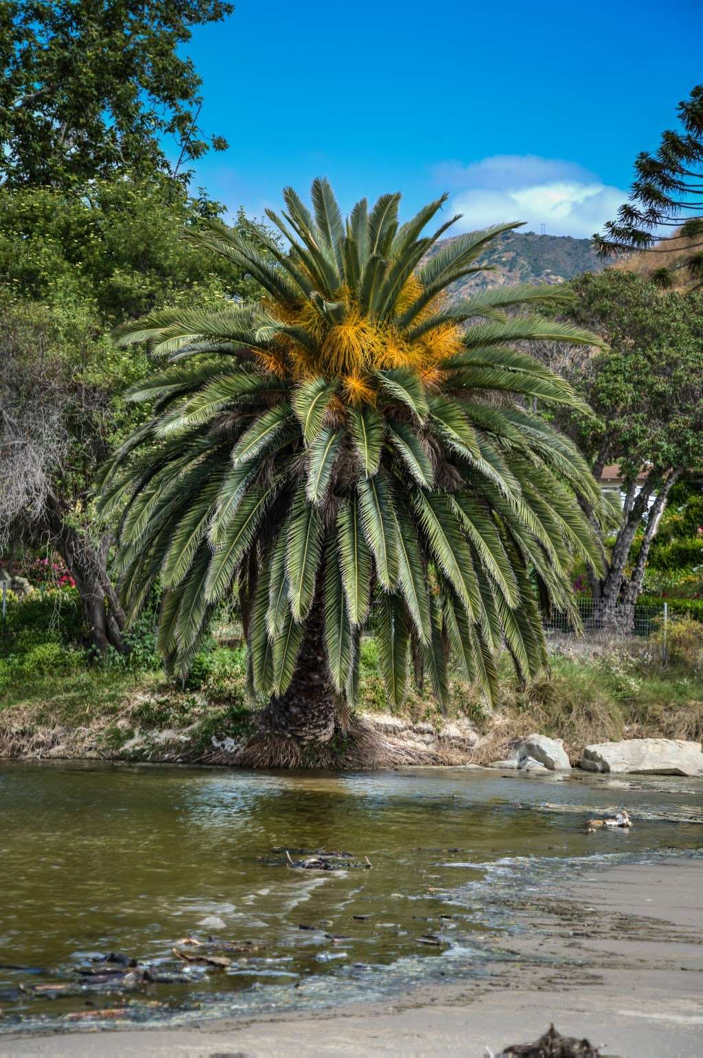 Malibu Lagoon Car Park | Malibu, CA 90265, USA