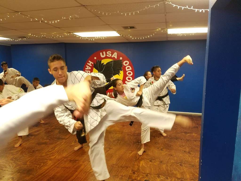 Academy Of Martial Arts Dragon-Do Hapkido. | 3703 Spring Stuebner Rd, Spring, TX 77389, USA | Phone: (832) 206-1290