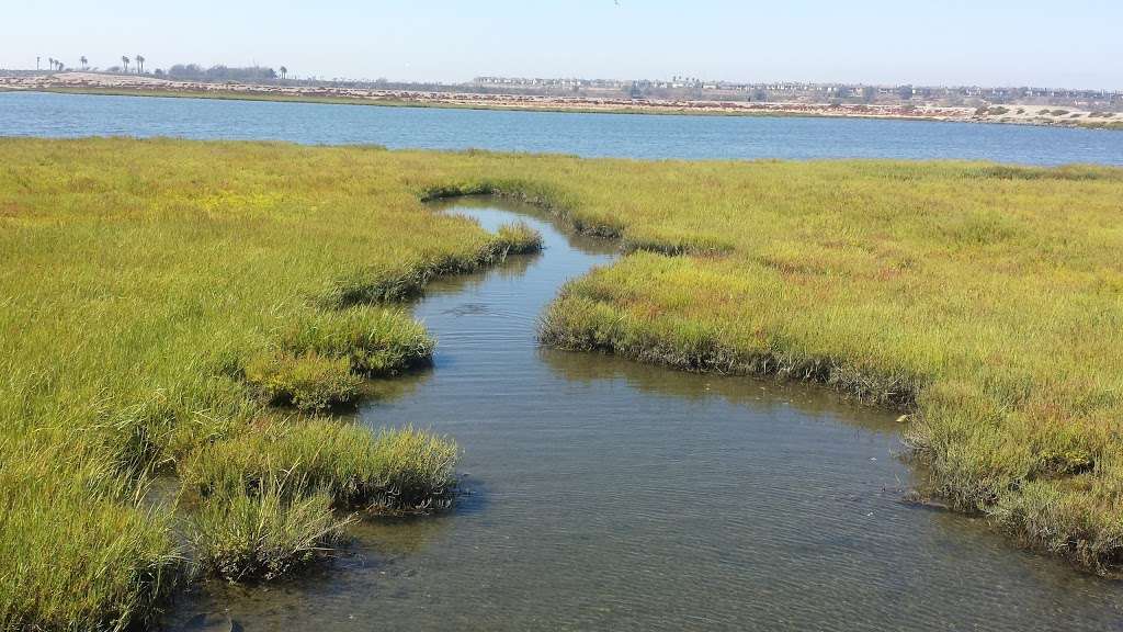 Bolsa Chica State Beach | 17851 Pacific Coast Hwy, Huntington Beach, CA 92649, USA | Phone: (714) 377-5691