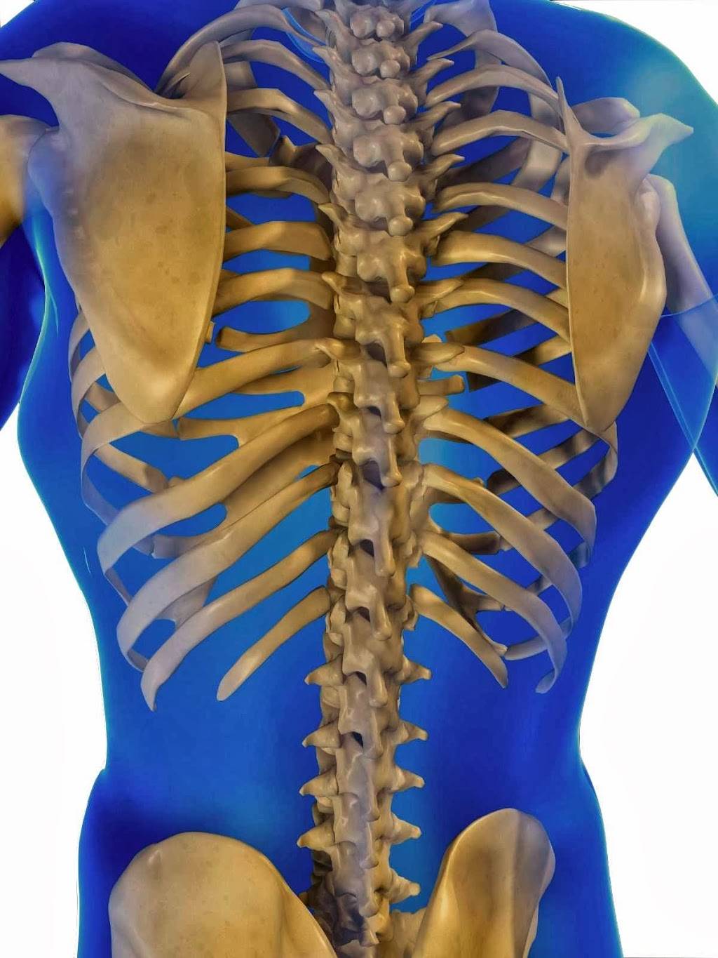 Nevada Spine & Disc | 8665 S Eastern Ave, Las Vegas, NV 89123, USA | Phone: (702) 492-1776