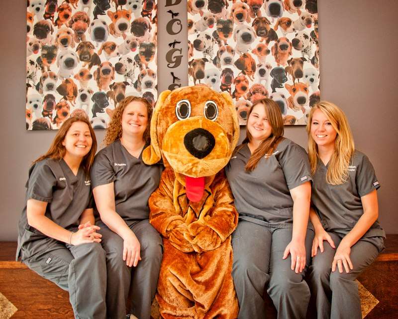 Wags 2 Whiskers Veterinary Hospital | 17099 Walden Rd #180, Montgomery, TX 77356, USA | Phone: (936) 582-2225