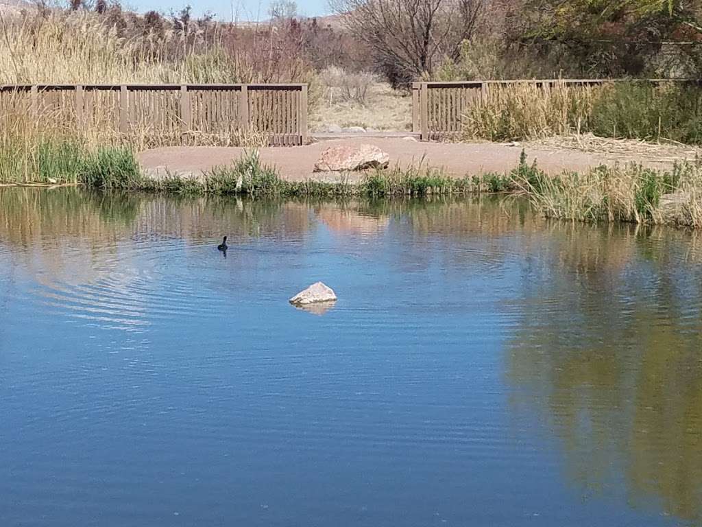 Clark County Wetlands Park | 7050 Wetlands Park Ln, Las Vegas, NV 89122, USA | Phone: (702) 455-7522